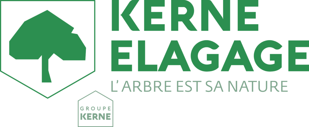 Kerne élagage