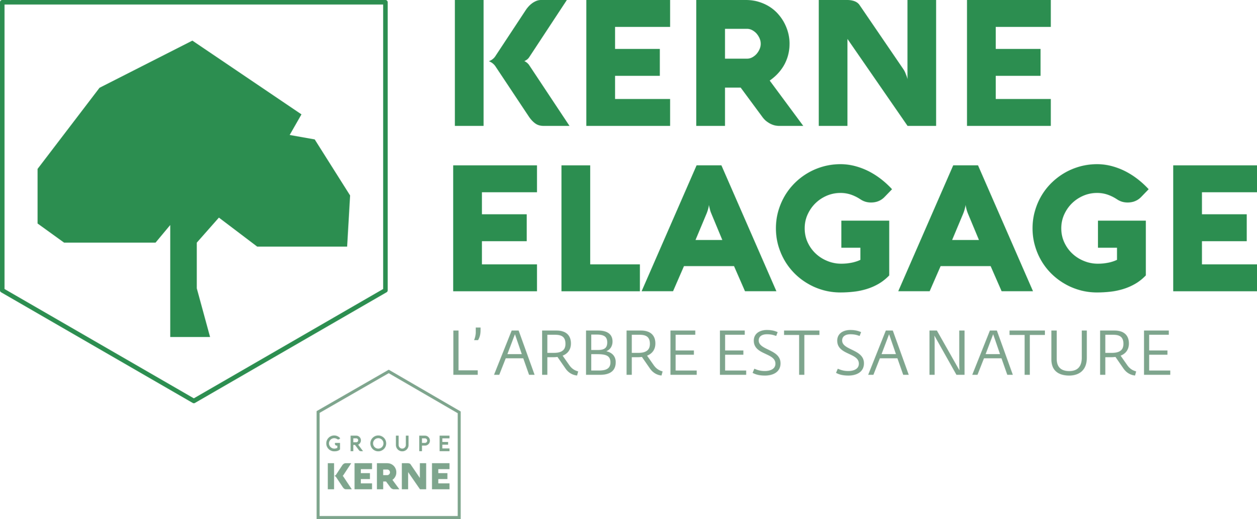 LOGO KERNE ELAGAGE scaled